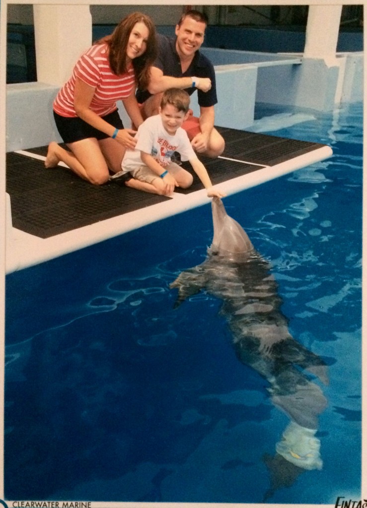 A Birthday Wish To Meet Winter The Dolphin