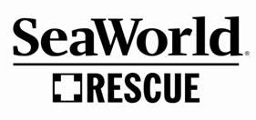 SeaWorld’s Florida & Texas Rescue Teams Save Entangled Dolphin