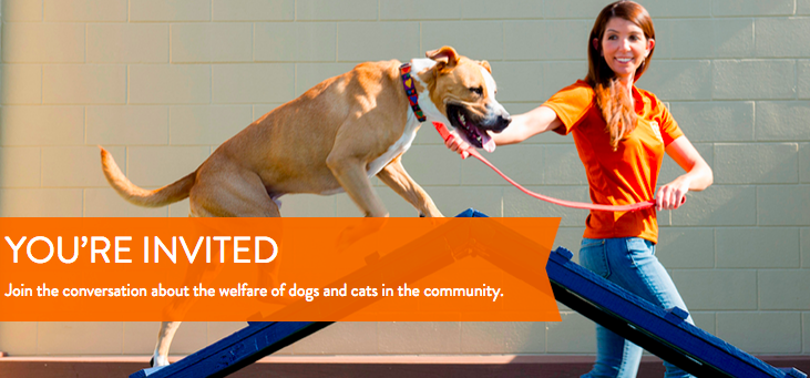Pet Alliance of Greater Orlando Dogs And Cats Matter