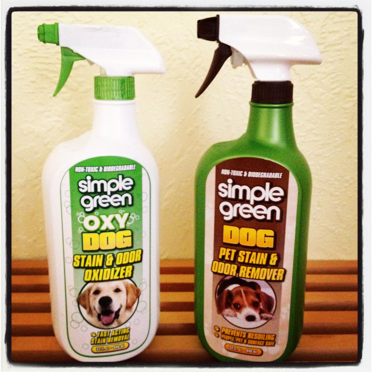Simple Green OXY DOG and BIO DOG Pet Stain & Odor Remover Review & Giveaway
