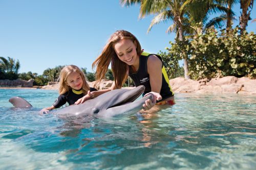 Discovery Cove Announces Fall Dates for Special Florida Resident Rate