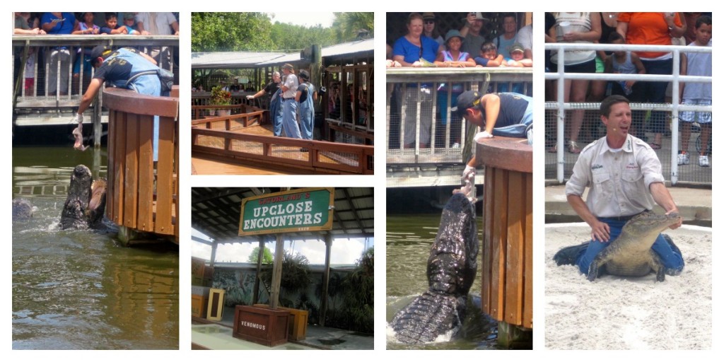 Florida Residents Save 50% Off Admission To Gatorland