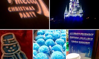 Mickey’s Very Merry Christmas Party 2016